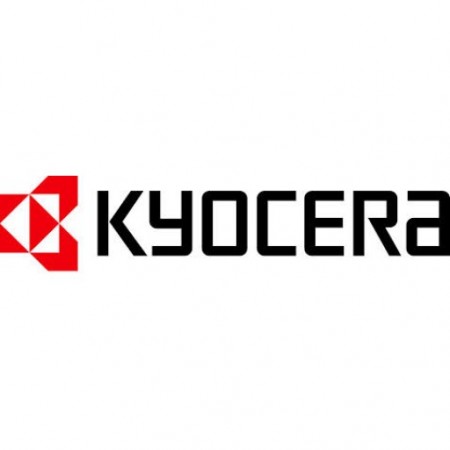 Программное обеспечение Kyocera KNMP 1 device license (с поддержкой нескольких серверов) [ 870LSNM007 ]